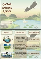 مطويات علوم للصف الثالث ابتدائي الفصل الدراسي الاو...