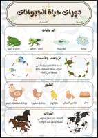 مطويات علوم للصف الثالث ابتدائي الفصل الدراسي الاو...