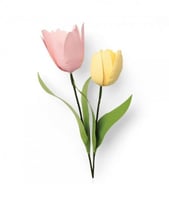 سيزكس 8 قطاعة ثينليتس زهرة التوليب من جينيفر أوجبو...