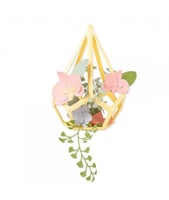 سيزكس ثينليتس مجموعة 12 قطاعة تررم زهري