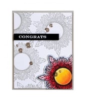 سبيلبينديرز قوالب قص مع طوابع ختم كرستالات الثلج