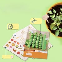 تجربة الزراعة