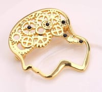 دبوس دماغ الميكانيكا