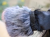 فروه نسائيه (عسير)