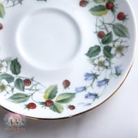 3425 كوب مع صحنين انتيك من دوتشس