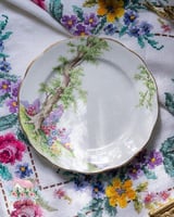 3561 صحن انتيك من رويال البرت Royal Albert