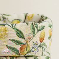 6049 حافظة الليمون لحفظ المخبوزات