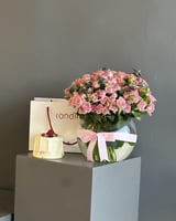 فازة مشاعر & كيكة البستاشيو