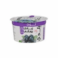 بلدي زبادي يوناني بروتين قليل الدسم بالتوت البري 1...