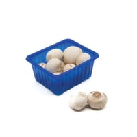 صحن فطر ابيض محلي