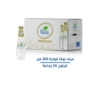 كرتون مياه نوفا فوارة زجاج (24 عبوة) 250 مل