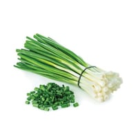 بصل أخضر طازج