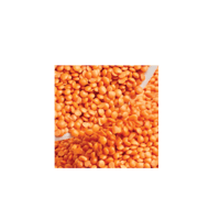 عدس أحمر 1 كجم