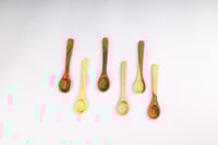 مجموعة ملاعق صغيرة للعسل والتوابل 6 قطع من إيلاف