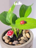 أصيص خرساني - يزهر كل شيء بوجودك 2