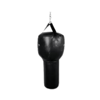 Combat Uppercut Bag [MD Buddy | MD1929] كيس ملاكمة...