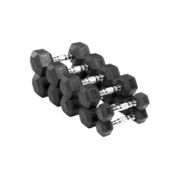 Rubber HEX Dumbbells Set 2.5–25KG [MD Buddy | MM21...