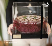 بوكس حلا واكليرك