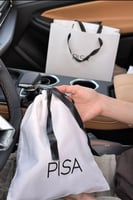 PISA
