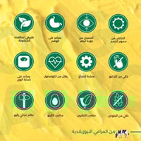 سمن عضوي 100% من مراعي نيوزيلندا - ريقانو - 500 مل