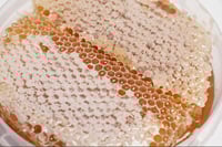 عسل شمع سدر درجة أولى (1 كيلو) - السويحي