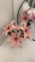 فازه ورد