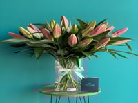 فازة الجمال