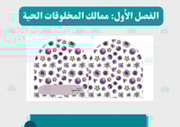مطوية فصل ممالك المخلوقات الحية (مفرغة )