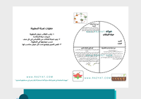 مطوية دورات حياة النباتات