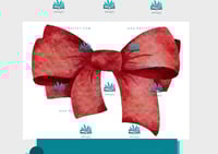 حفلة نجاح - فيونكة