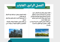 مطوية الغابات (اقتصادي في الطباعة)