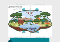 مطوية ممالك المخلوقات الحية ( مفرغة)