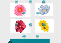 حفلة نجاح - ورد