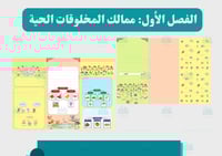 مطوية تصنيف المخلوقات الحية (مفرغة)