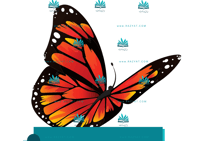 ثيم حفلة - لينا