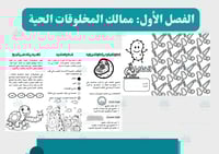 مطوية الخلايا (قابلة للتلوين)