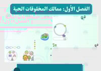 مطوية الخلايا (مفرغة)