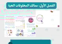 مطوية الخلايا (اقتصادية في الطباعة )