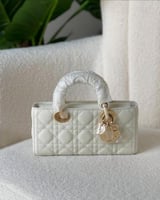 شنطة ديور دي جو درجة اولى مع الملحقات