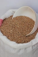 قمح معيه القصيم - ١٠ كيلو