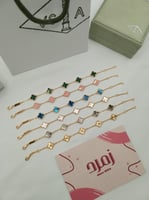 اساور فان كليف ميني