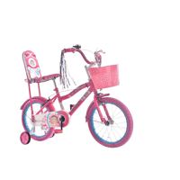 سيكل بناتي عربة أمامية بمسندة ظهر مقاسات متنوعة