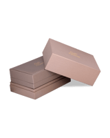 ساعة نسائية صناعة سويسرية ماركة جي اف فيرري فضي مو...