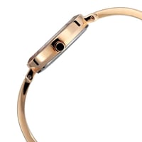 ساعة تيتان نسائي Titan Raga Viva Analog Silver Dia...