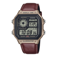 ساعة كاسيو التوقيت العالمي AE-1200WHL-5AV