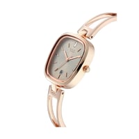 ساعة تيتان نسائي Titan Women Metal Grey Dial Analo...