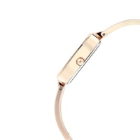 ساعة تيتان نسائي Titan Women Metal Grey Dial Analo...