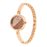 ساعة تيتان نسائي Titan Raga Metal Watch for Women...
