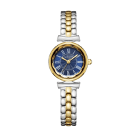 ساعة بلاك مون نسائي استيل BM2048