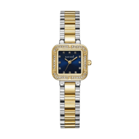 ساعة بلاك مون نسائي استيل BM2046